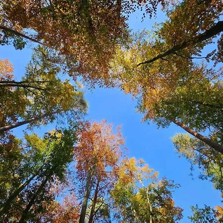 Im Mueritz * רשלין